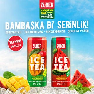 Ice Tea Karpuz & Nane Aromalı 250ml x 12
