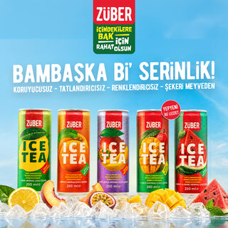 Ice Tea Karpuz & Nane Aromalı 250ml x 12