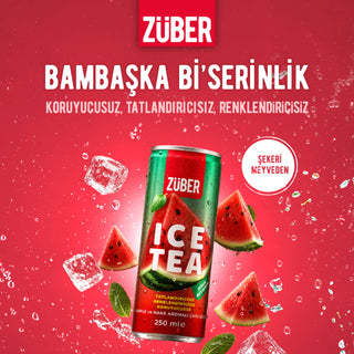 Ice Tea Karpuz & Nane Aromalı 250ml x 12