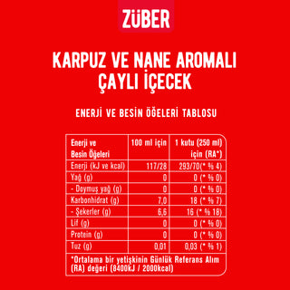 Ice Tea Karpuz & Nane Aromalı 250ml x 12